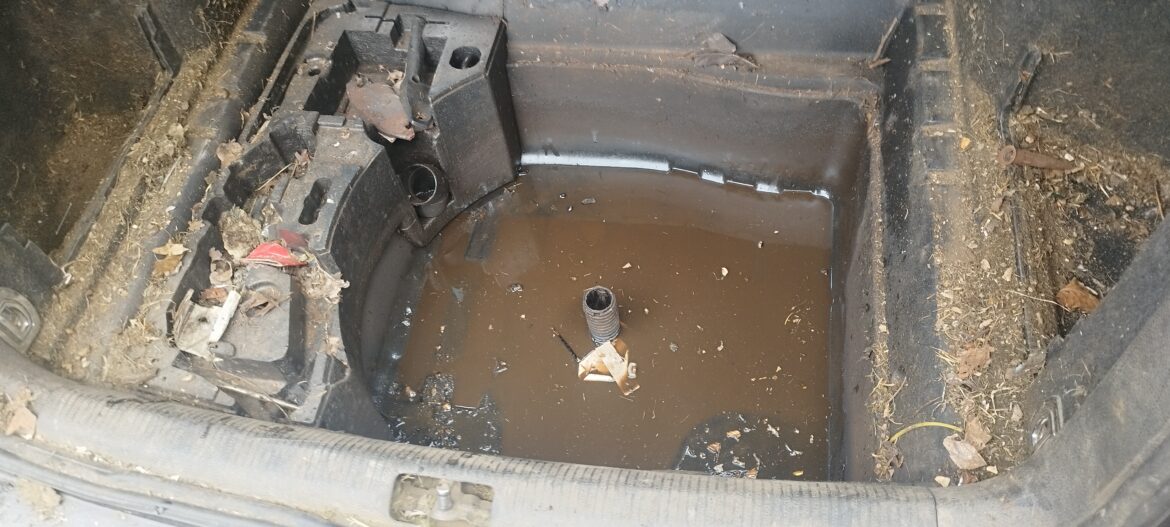 VW Passat Transformation: Day One of Extreme Cleanup